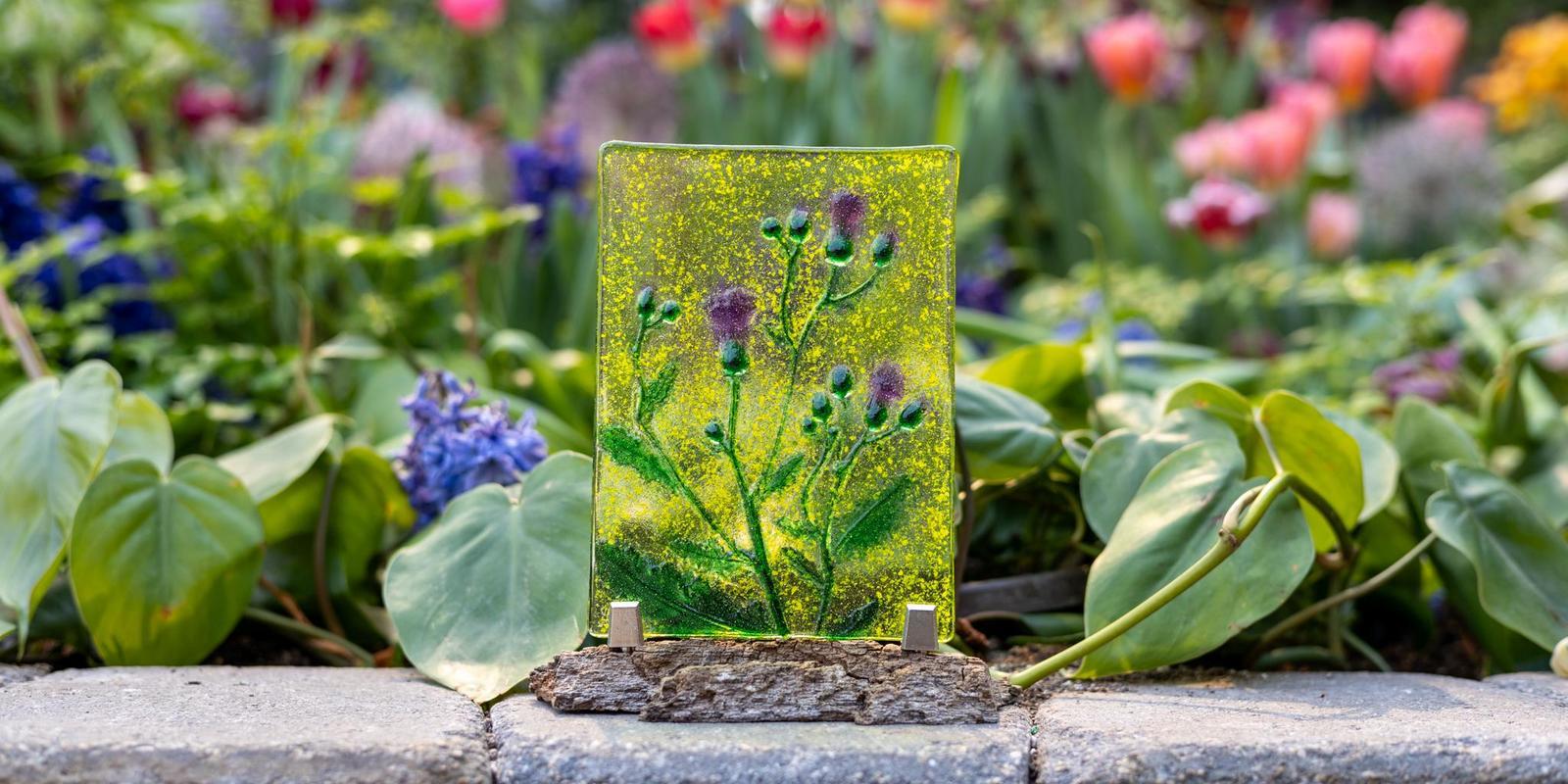 IMG_9996.jpg (250 KB)